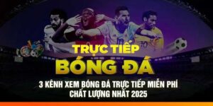 3 Kênh Xem Bóng Đá Trực Tiếp Miễn Phí Chất Lượng Nhất 2025